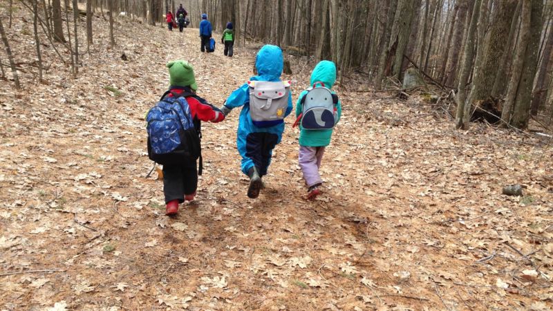 Children walking in the woods